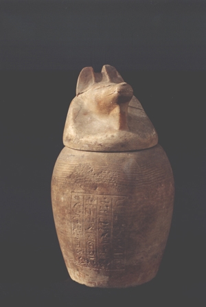 Canopic jar of Ketjen in the form of god Duamutef